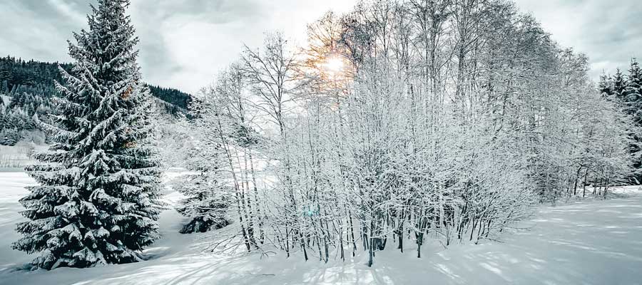 les-alpes