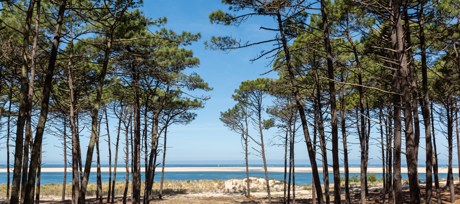 Destinations à visiter dans les Landes